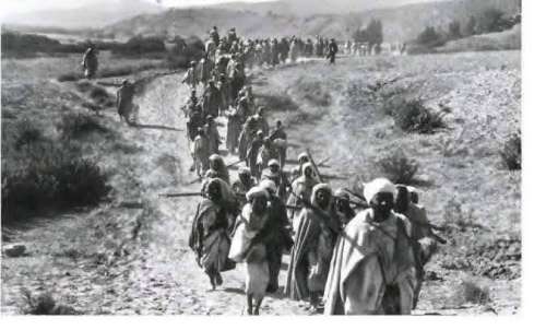 بوگافر: في الحاجة  لجبر الضرر الجماعي ورد الاعتبار للشخوص وللتاريخ