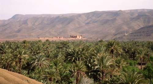 زاكورة... تقييم المراحل المنجزة من برنامج هيكلة الواحات وضبط أولويات التدخل