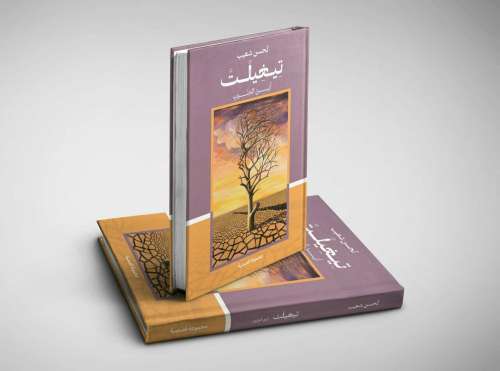 ' تيغيلت ' مجموعة قصصية  ترصد  واقع الجنوب الشرقي  وانينيه  عبر الزمن لمؤلفه لحسن شعيب