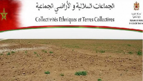أراضي الجماعات السلالية.. الداخلية تطلق عملية جديدة لتحيين لوائح ذوي الحقوق وتحدد شروط الاستفادة